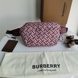 Burberry Handbags 116